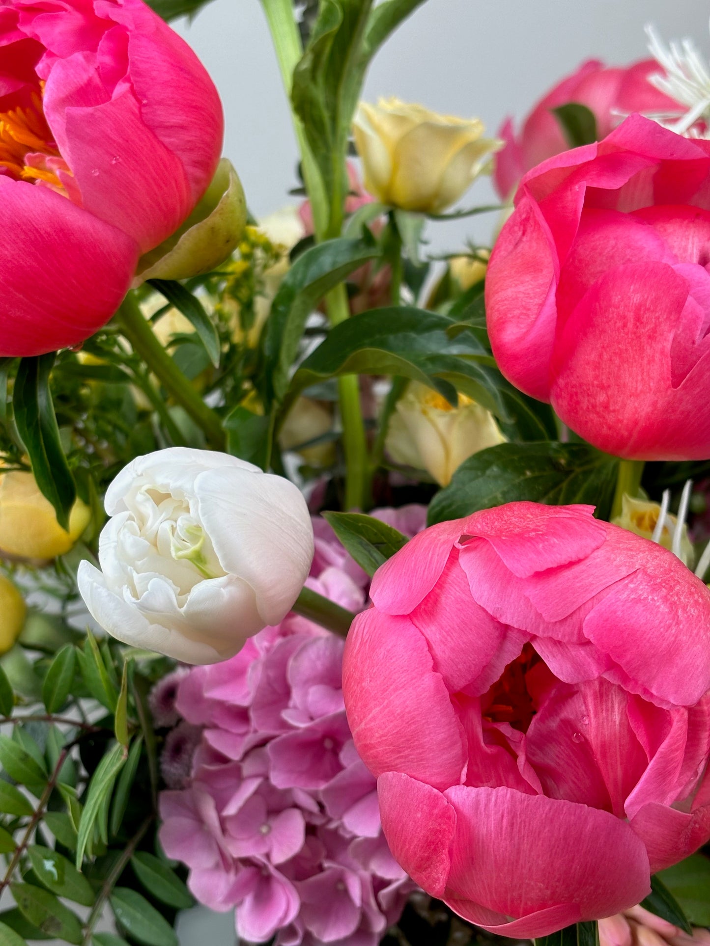 Closeup of coral peonies in Jolie Flowers Shop's Peony Vase