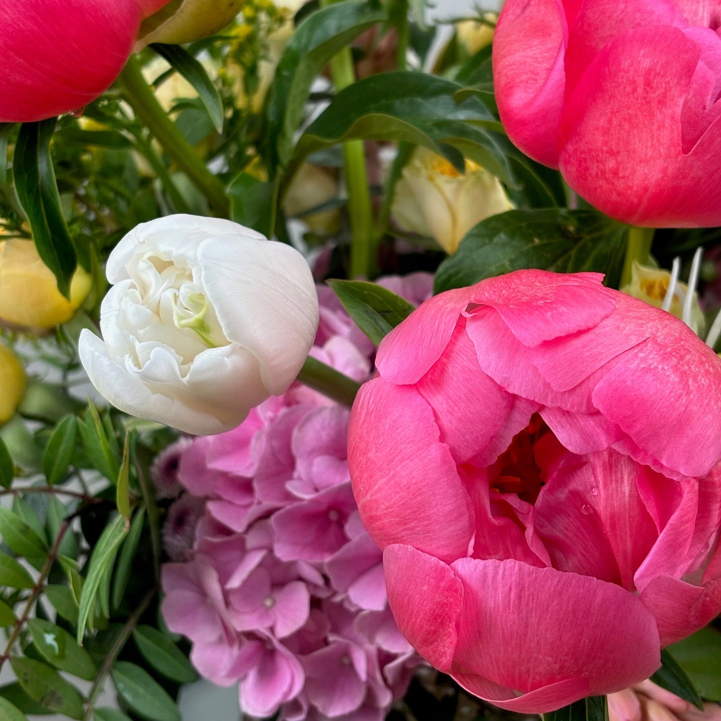 Closeup of coral peonies in Jolie Flowers Shop's Peony Vase