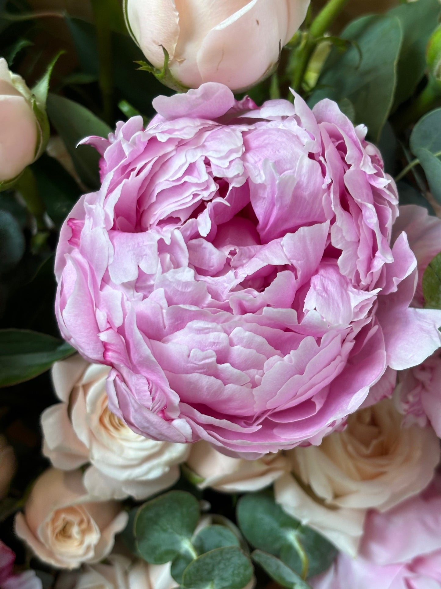 Peony closeup of Jolie Flower Shop's Peony Perfection Arrangement