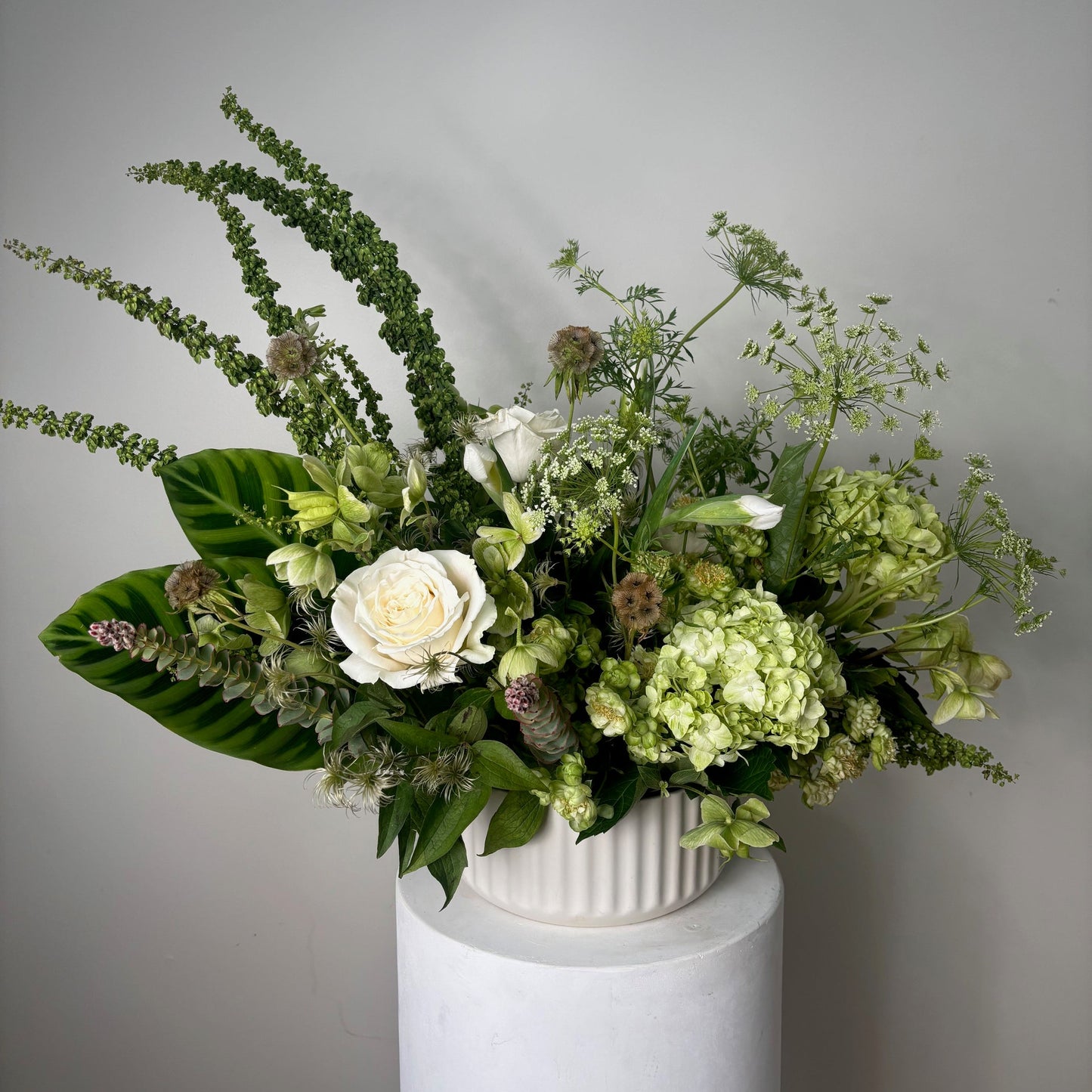 Modern Pot Arrangement