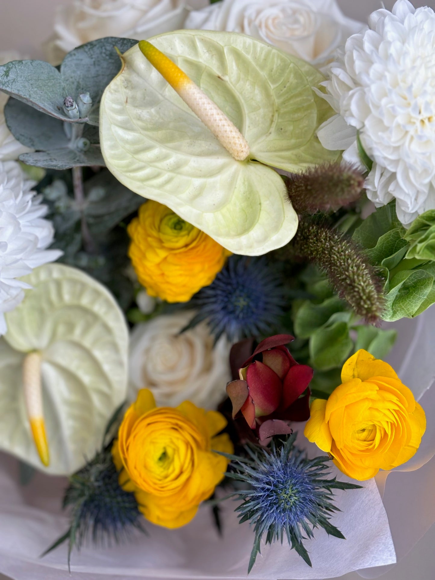 anthurium modern arrangement